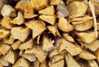 20210705_121504__002__1.jpg 20210705_121504__002__1.jpg