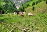 img-20240617-wa0011.jpg img-20240617-wa0011.jpg