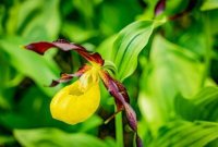 2i3jchi449rmemmvdxy9.jpg 2i3jchi449rmemmvdxy9.jpg