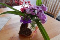 dscn0977.jpg dscn0977.jpg