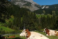 img_20210918_125947__002_.jpg img_20210918_125947__002_.jpg