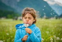 p1002667.jpg p1002667.jpg