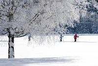 c_tvb_lechtal_15455.jpg c_tvb_lechtal_15455.jpg