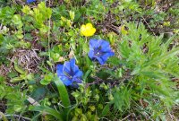 20160624_105340_1.jpg